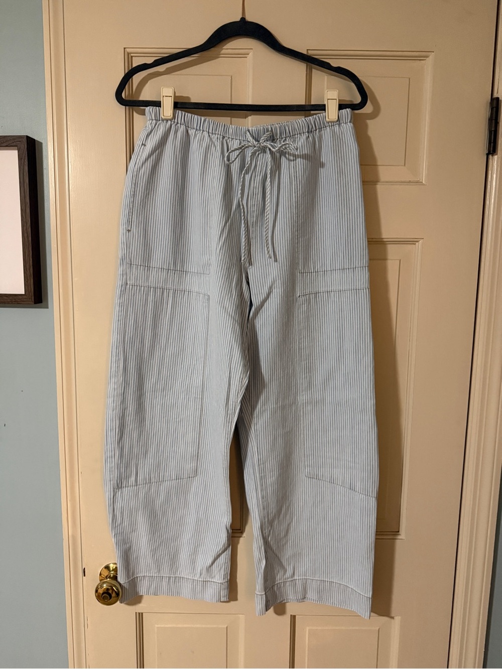 Zsupply the carpenter pant in seaboard stripe